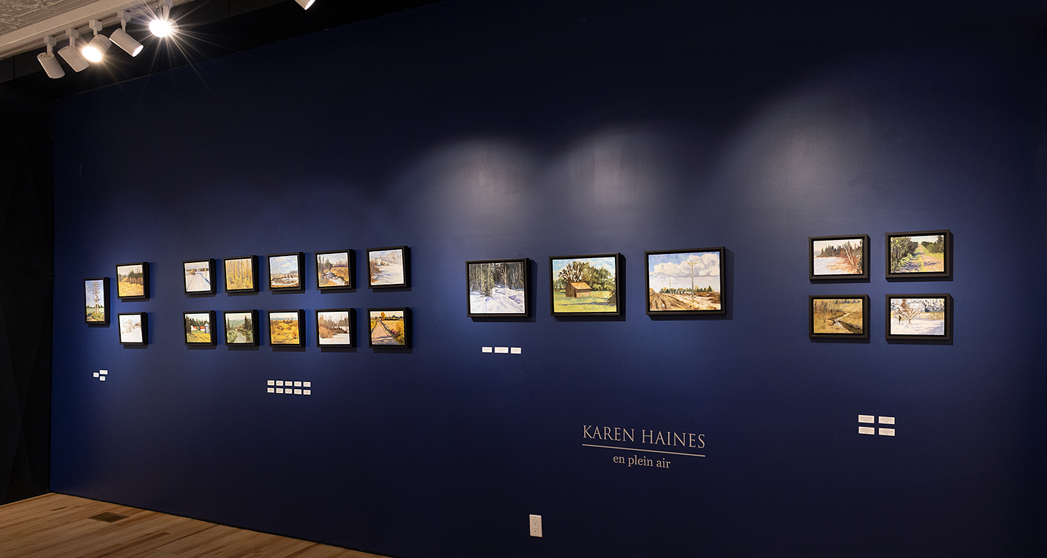 Karen Haines at Sivarulrasa Gallery