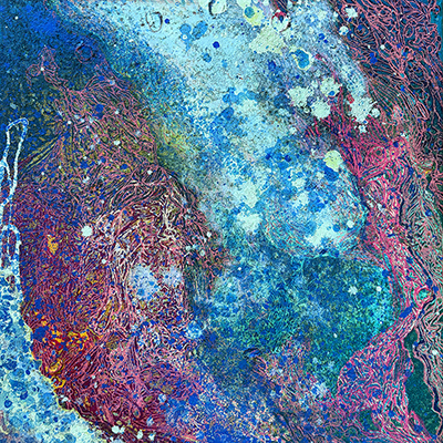 Hannah Cretien at Sivarulrasa Gallery
