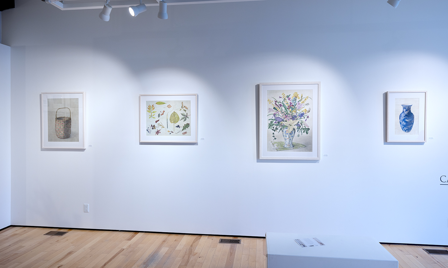 Cathy Ross at Sivarulrasa Gallery Cathy Ross at Sivarulrasa Gallery