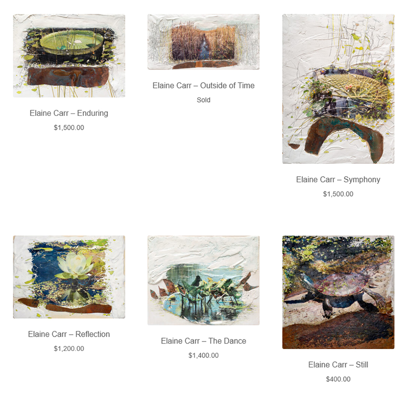 Elaine Carr at Sivarulrasa Gallery