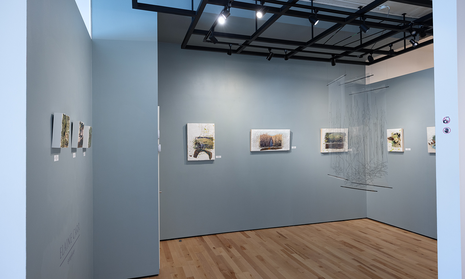 Elaine Carr at Sivarulrasa Gallery