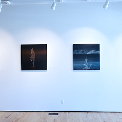 Michael Pittman at Sivarulrasa Gallery
